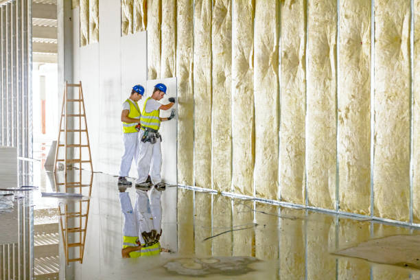 Best Insulation for New Construction  in Port Chester, NY